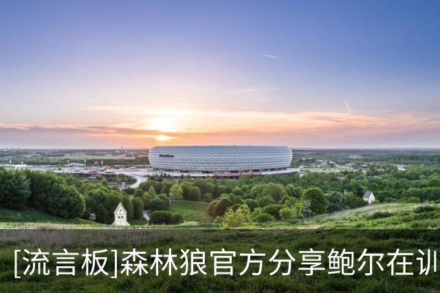 [流言板]森林狼官方分享鲍尔在训练中展示精妙背传的视频